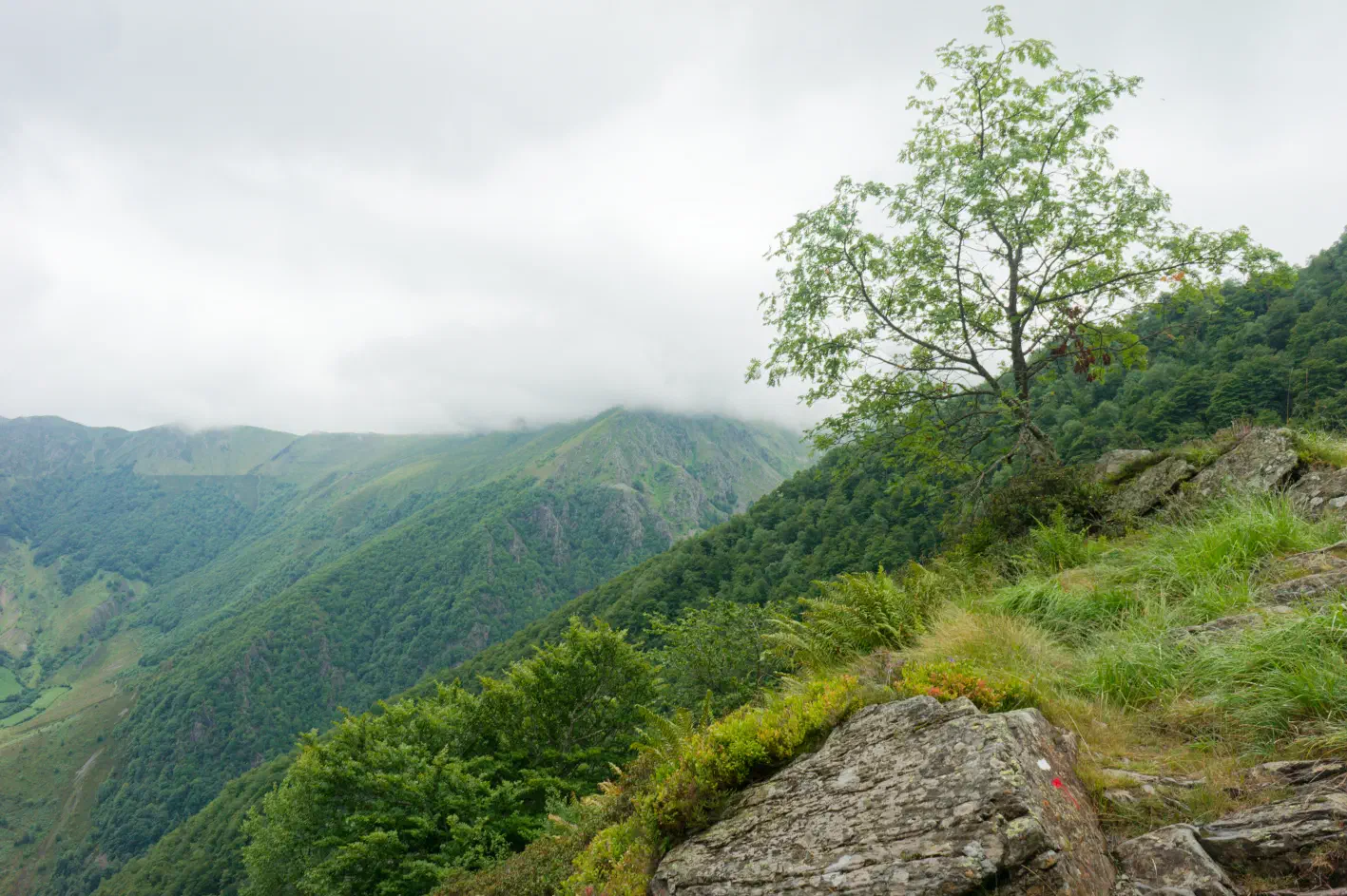 24 Juillet 2011 - Pic de Haute Serre - NOK