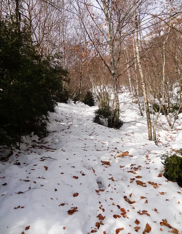 22-23 Décembre 2012 - Pic de Girantès - NOK