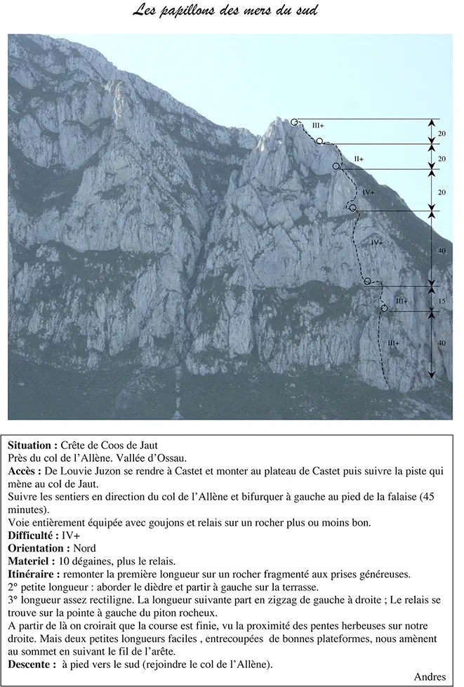 30 Septembre 2014 - Les papillons des mers du Sud