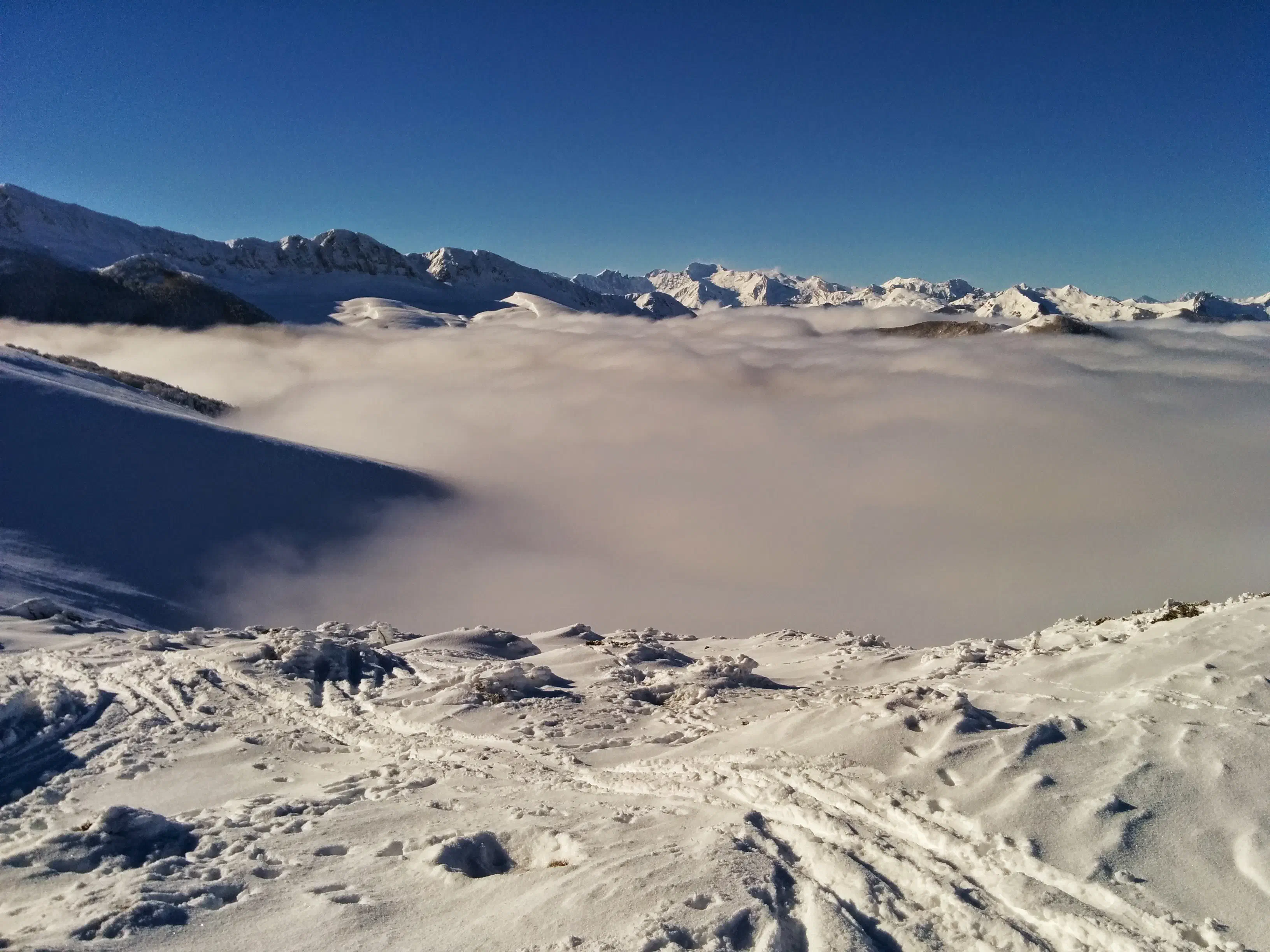 Image (5)