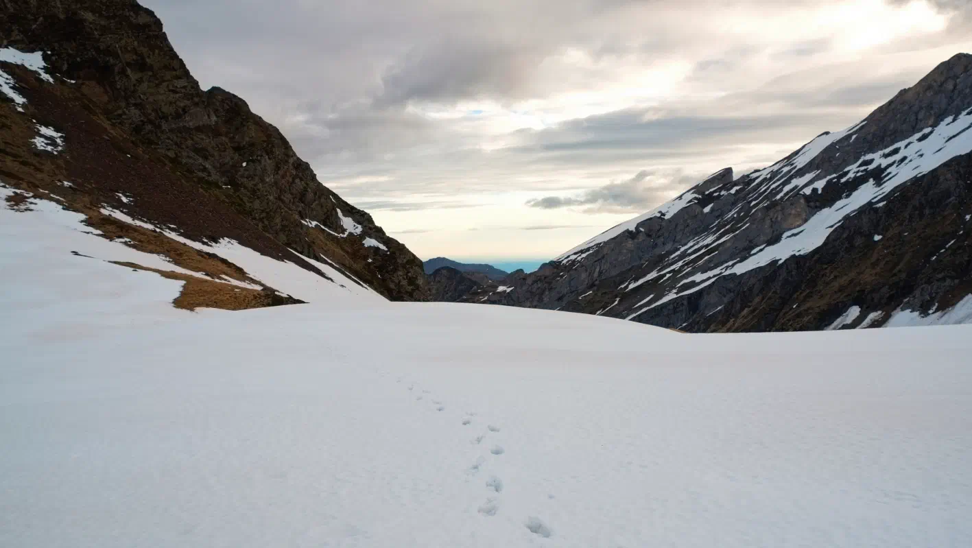 Mes seules traces dans la neige