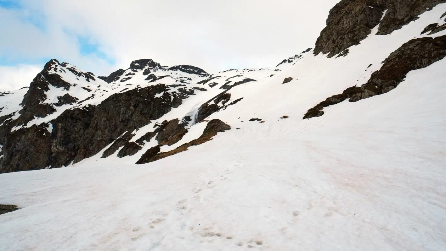 Tout est encore bien blanc