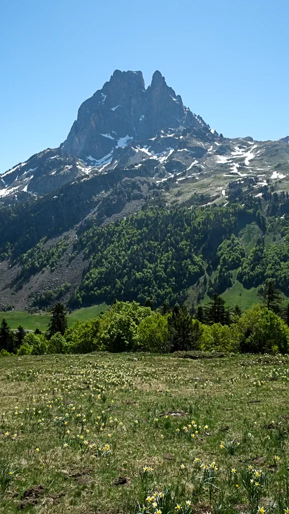 Dscf7243 2
