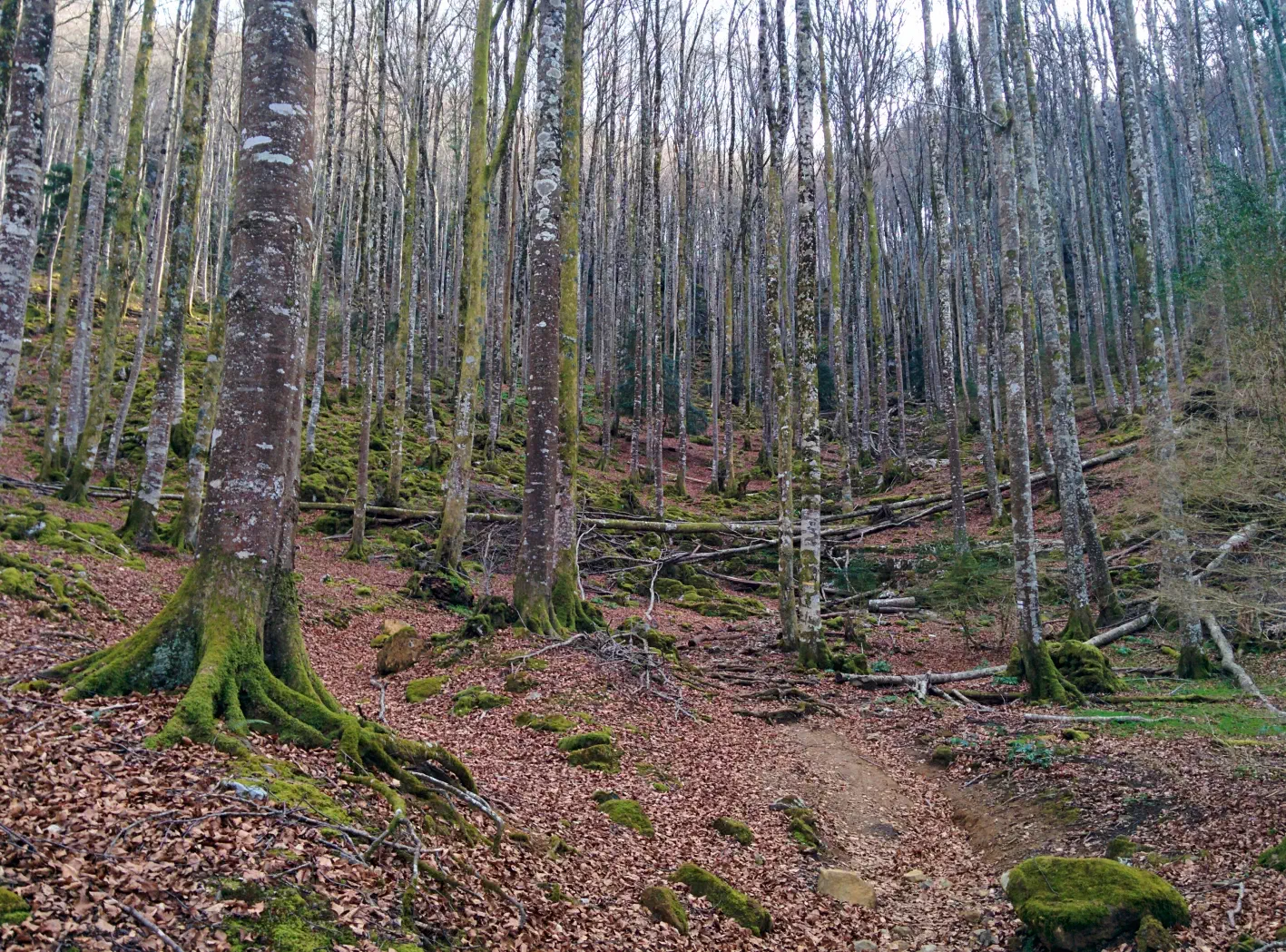 23 Mars 2019 - Refuge de l'Aoulhet