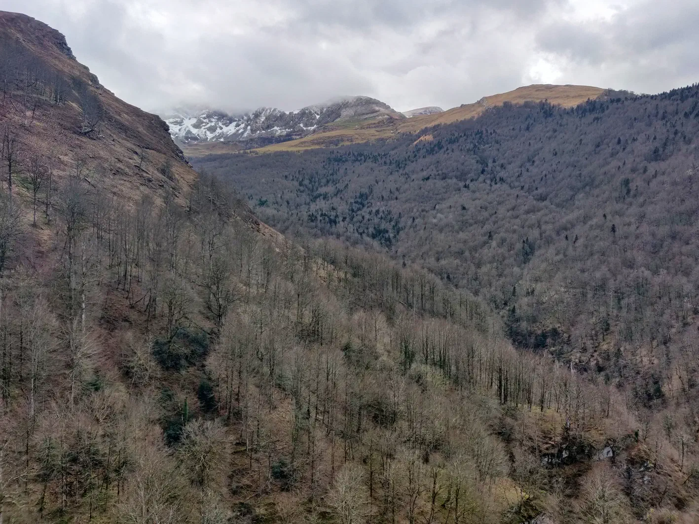De la neige tout au fond