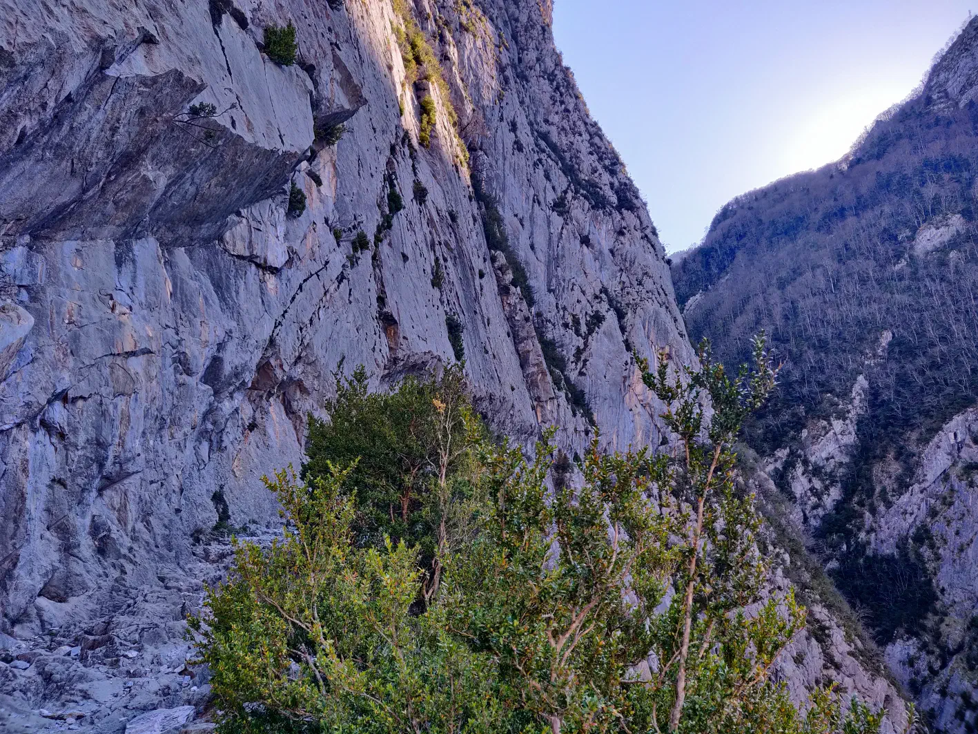 La paroi au-dessus du chemin