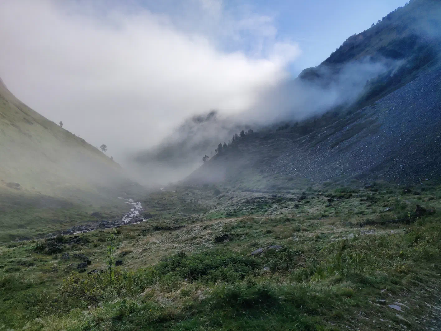 Le vallon encore sous la brume