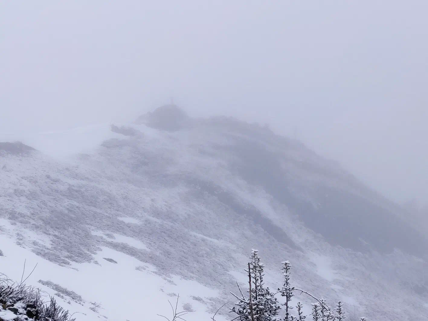 La crête part dans le blanc