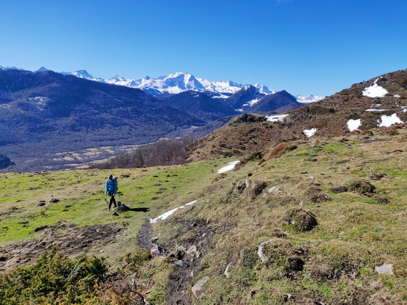 Sur les pelouses de la crête