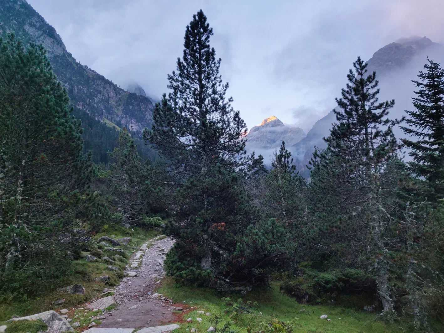 Le sentier au petit matin