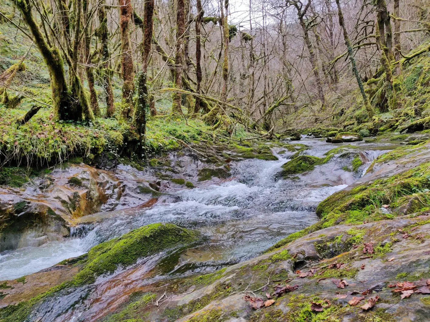 21 Février 2024 - La cascade de la Génie Longue