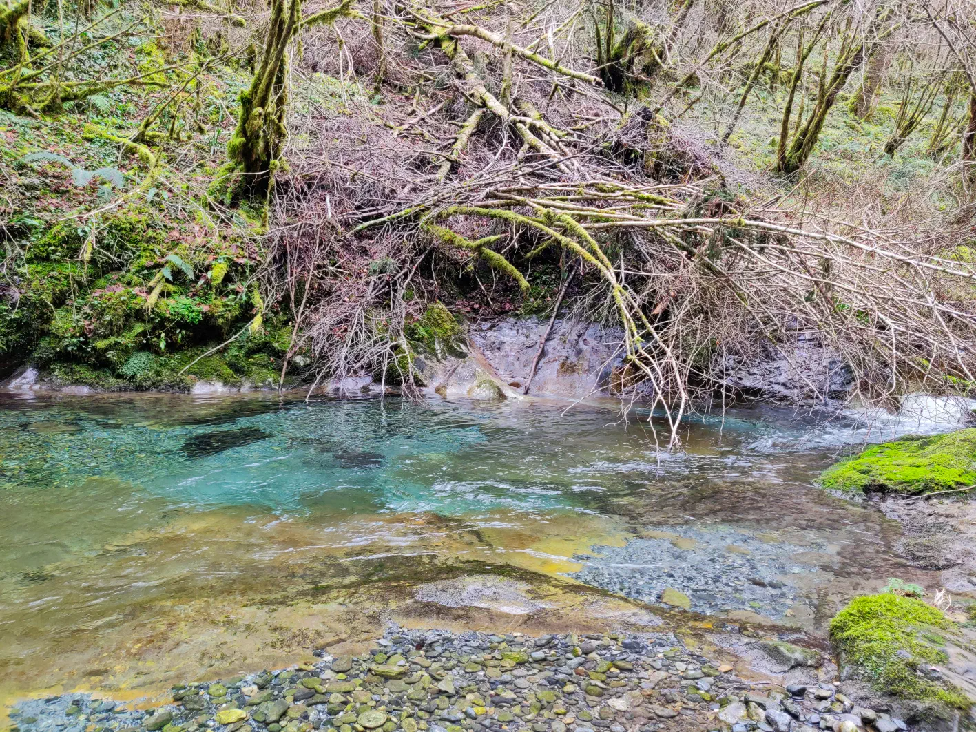 Une vasque bien turquoise