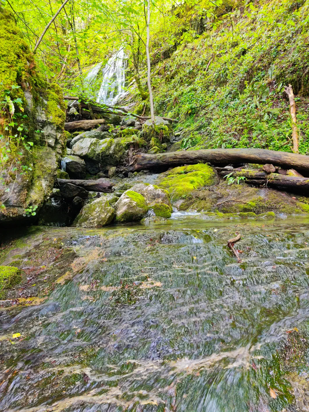 La cascade apparaît au fond