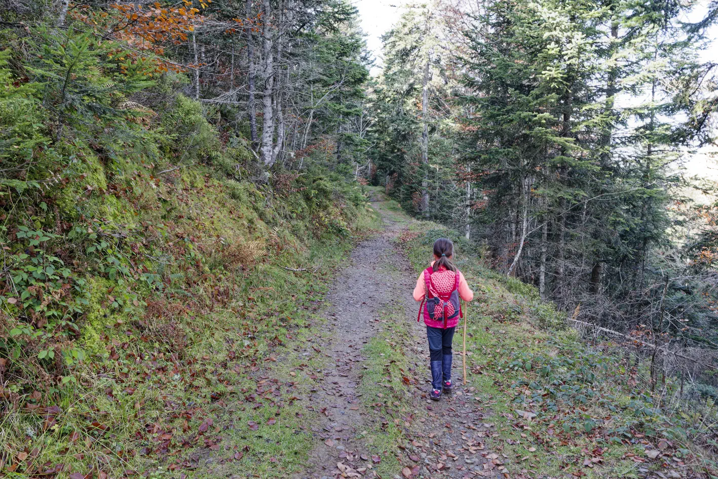 Le sentier se rétrécit