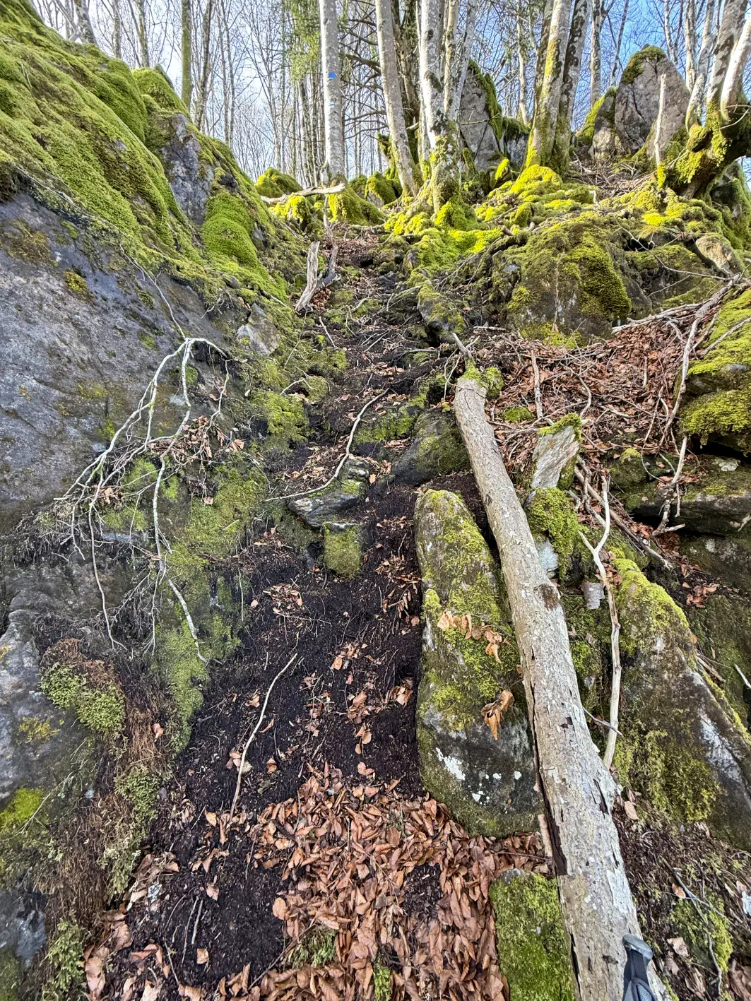 Ça se redresse dans les rochers