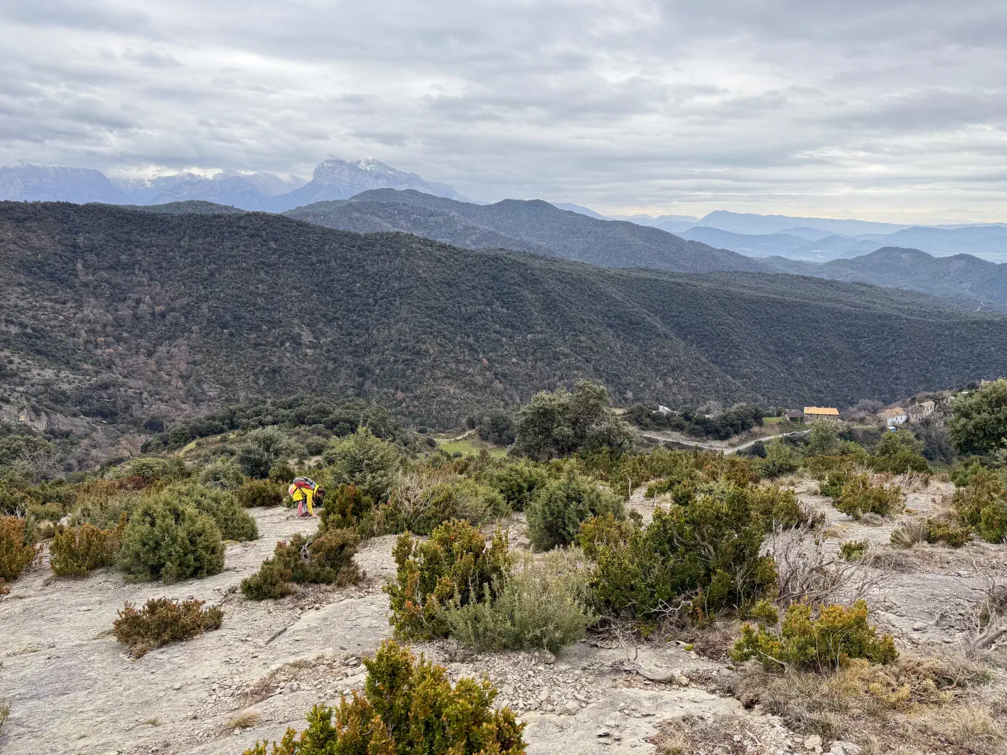 Le nez sur les cailloux