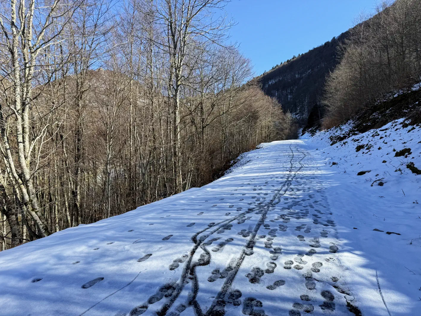 La route disparaît sous la neige