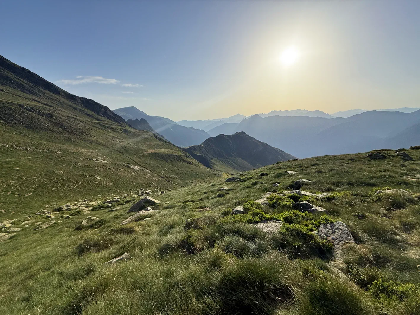 Pelouses et contre-jour